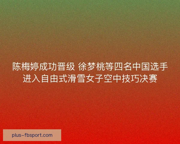 陈梅婷成功晋级 徐梦桃等四名中国选手进入自由式滑雪女子空中技巧决赛