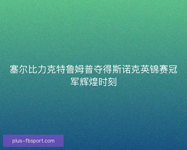 塞尔比力克特鲁姆普夺得斯诺克英锦赛冠军辉煌时刻